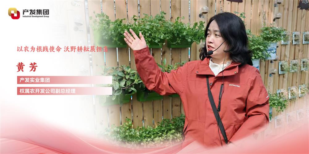 巾幗綻芳華 | 產(chǎn)發(fā)實業(yè)集團權屬農(nóng)開發(fā)公司 黃芳：以農(nóng)為根踐使命，沃野耕耘展擔當